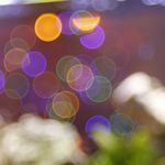 Soft blurred green circles on deep black background